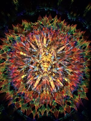 The Thirteen (Pre-order)